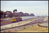 SD40-2 6717 in charge of automax cars bound for San Diego pauses at Fallbrook Jct., CA, 2000