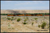 ES44DC quartet  of 7231/7817/7332/7357 pulls westbound double stacks on BNSF's Cajon Sub near Oro Grande, CA, 2010